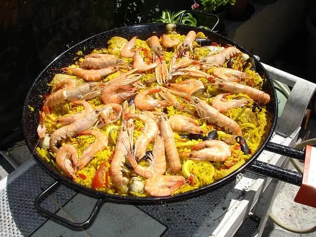 Guide d'achat : Équipement de pêche en mer